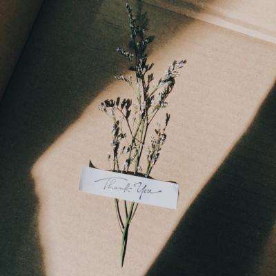 半岛官网最新下载