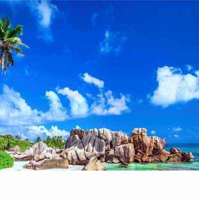 BOB·体育综合APP下载